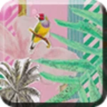 tropical resort android application logo